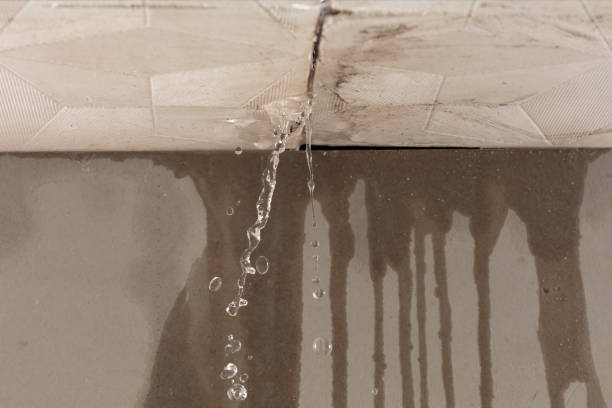 Professional Flood Damage Cleanup technician working in Rainier, OR